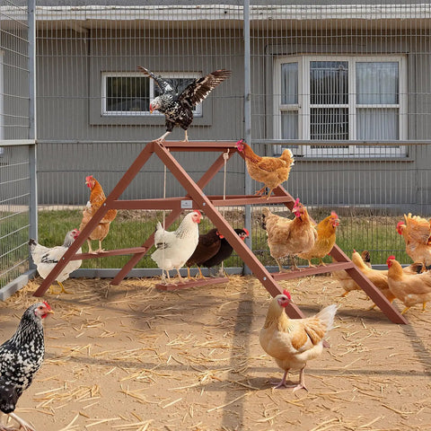 Wooden Chicken Perch And Roosting Bars For 10 To 12 Chickens, 3 Layer Fir Design With Swing, outdoor coop with chickens