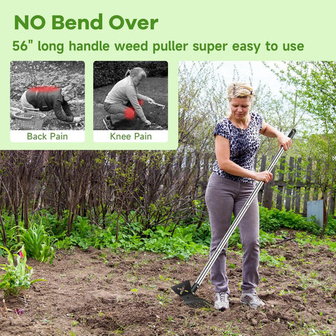 Person using 2 In 1 Garden Hoe And Cultivator Weeding Rake With Long Handle 6 Tine Heavy Duty Hand Weeder in garden