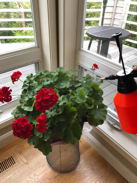 One Hand Pressure Sprayer For Lawn And Garden Care 50 Oz Bottle Adjustable Brass Nozzle Ergonomic Locking Handle Viton Gasket with red flowers
