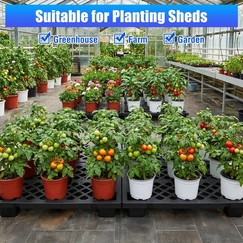 Heavy Duty Plastic Pallets 8 Piece Set With Ventilated Grid Design in greenhouse with tomato plants