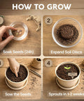 Step-by-step guide for Bonsai Starter Kit For Growing Jacaranda Tree With Seeds, Tools, And Planter, Complete Indoor Bonsai Kit