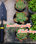 Beefy Heavy Duty Garden Trowel With Serrated Stainless Steel Blade Left Side Three Inch Sawtooth Hand Shovel next to succulent plants
