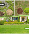 Comparison of lawn before using Lawn Leveling Rake 30x10 Built Tough With Anti Flip Design, visible soil and grass patches