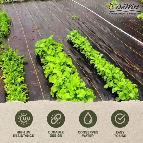 Pro-5 Heavy-Duty Weed Barrier Fabric 5 oz ground cover mat installed in garden with vegetables growing through fabric