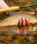 Angler holding a trout with Backpacking Ready 3 Piece Fly Fishing Rod And Reel Starter Kit With 97 Inch Collapsible Fiberglass Rod