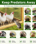 Heavy Duty 304 Stainless Steel Hardware Cloth 1/2 Inch 20 Gauge Welded Mesh Chicken Wire Fencing protecting chickens from pests.