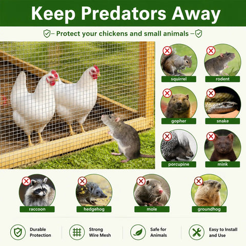 Heavy Duty 304 Stainless Steel Hardware Cloth 1/2 Inch 20 Gauge Welded Mesh Chicken Wire Fencing protecting chickens from pests.