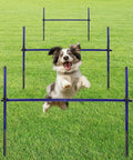 Dog jumping over hurdle in Heavy Duty Metal Dog Agility Course Set For Backyard Training With Adjustable Height Jumps And Hurdles Rust Resistant Alloy Steel Obstacle Course Three Pack