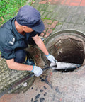 Person using Heavy Duty Flexible Drain Auger And Manual Sewer Rooter With Adjustable Grip Handle in a sewer to clear a blockage.