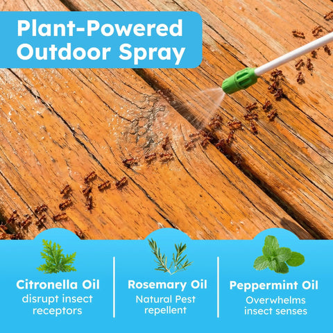 Peppermint Oil Pest Defense Pro Outdoor Bug Spray targeting ants on wood with plant powered sprayer wand kit for yard use