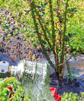 2 Pack Aluminum Bubbler Sprinkler Heads For Gentle Watering Diffuser Flood Nozzle in use watering garden plants