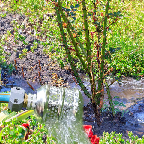 2 Pack Aluminum Bubbler Sprinkler Heads For Gentle Watering Diffuser Flood Nozzle in use watering garden plants