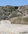 Multicam Camo Netting for Tactical Shelters and SmartFrame Systems, Lightweight Yet Durable With Field Replaceable Wheel Housings