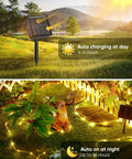 Solar Rope Lights 39Ft 100LED Outdoor String Lights IP65 Waterproof, charging in day and lighting at night in garden