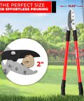 Anvil Lopper With Compound Action For Thick Branches, 19 Inch Aluminum Tree Trimmer in bright red handles with measurement chart.