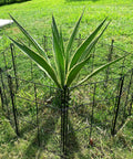 4 Pack Plant Protectors From Animals, DIY Garden Cages with 1 Inch Mesh for Vegetables, Shrubs and New Plants, installed