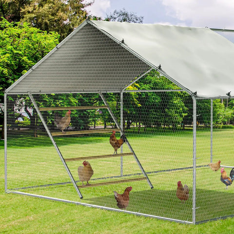 Four Tier Chicken Roosting Perch For Backyard Poultry No Fuss Easy To Assemble Elevated Roosting Bars That Maximize Coop Space