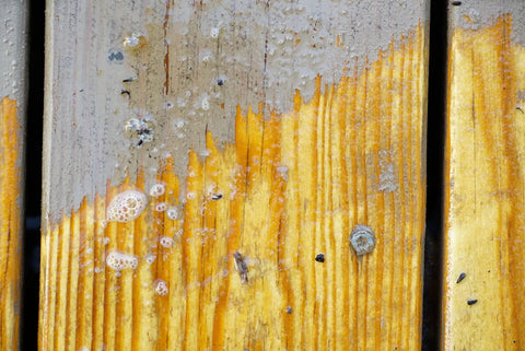 One Gallon Ready To Roll Deck Stain Stripper Cuts Straight Through Weathered Oil And Water Coats on wood, showing foam lifting old stain.