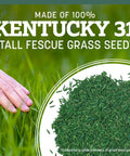 Premium Kentucky 31 Tall Fescue Grass Seed shown with hand touching lush green grass in background.
