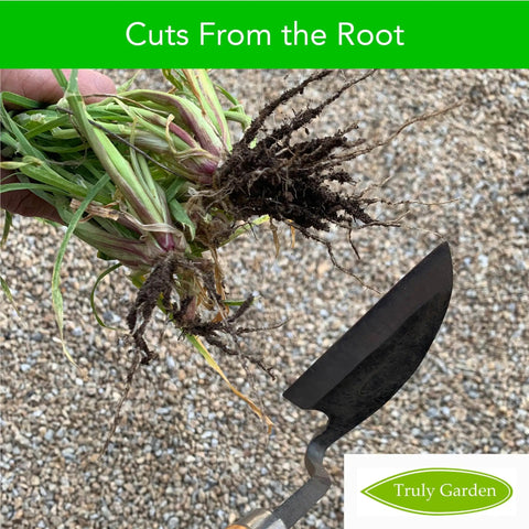 Root Cutting Weeding Sickle With Thick Leather Sheath And Sharpening Stone in use on weeds