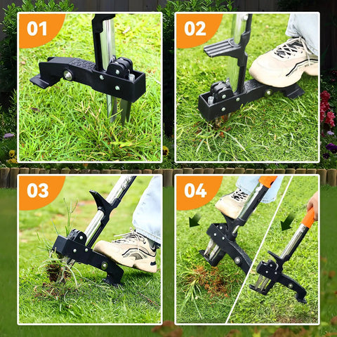 Stand Up Weed Puller With Long Handle And 3 Claw Steel Head for no bending kneeling free weeding in lawns and gardens in use.
