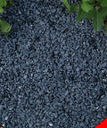 18lb Black Cactus Pea Gravel Rocks 1 Quarter Inch Pebbles for Indoor Plants and Succulents, ground view