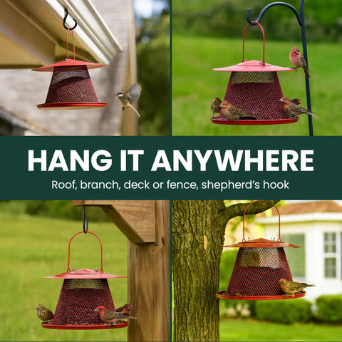 Durable Wild Bird Feeder With Diamond Mesh And 360 Degree Seed Tray For Clinging And Perching Birds, 2.5 Lb Seed Capacity