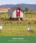 No Dig Black Metal Garden Fence Panels Six Pack Decorative Border For Yard And Flower Beds Dog Fence Outdoor Edging Easy Setup Built Tough Rust Proof Wire installed around a chicken coop with rabbits nearby.