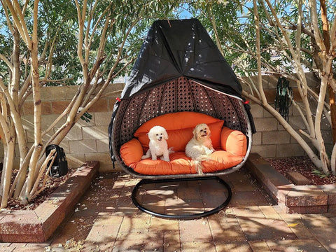 Rugged Patio Egg Chair Cover With Zipper 420D Woven Polyester With PVC Coating For Waterproof Weatherproof UV Guard Dustproof Windproof Hanging Chair Shield 75 By 45 Inches Black 1 Pack covering egg chair outdoors with dogs