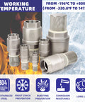 Foot valve with filter set in stainless steel, 2-1/2 in NPT (DN65) bottom valves with screens for water pumps and irrigation