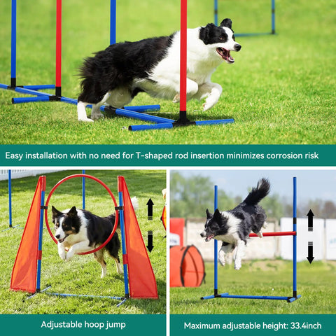Dog Agility Training Kit For Backyard And Indoor Use with hurdles, weaving poles, and hoop jump in outdoor setup