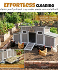 Wooden Chicken Coop For Backyard Poultry Flock With Three Weatherproof Asphalt Roofs Removable Tray Two Nesting Boxes Ramp Entry Ventilation Windows And Cozy Rabbit Hutch For Easy Outdoor Living with chickens in garden