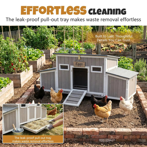 Wooden Chicken Coop For Backyard Poultry Flock With Three Weatherproof Asphalt Roofs Removable Tray Two Nesting Boxes Ramp Entry Ventilation Windows And Cozy Rabbit Hutch For Easy Outdoor Living with chickens in garden