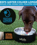 Game Changer Rock Solid Extra Thick Stainless Steel Dog Bowl 64 Oz with ice, insulated design, on grass, dog drinking water.