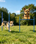 Two dogs using Adjustable Agility Jumps With Weave Poles Three In One Backyard Outdoor Obstacle Course Training Set over grass.