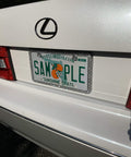 Installed Elegance Chrome License Plate Frame With Diamond Bling And Fastener Caps, 144 Simulated Diamonds, 6mm, Rattle Free Clips