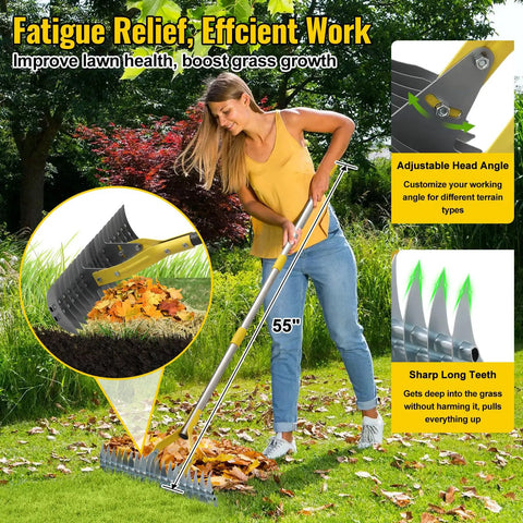 Woman using 2 In 1 Thatch Rake And Leaf Rake Stainless Steel Lawn Dethatcher with 19 tines and 15 inch wide head on grass