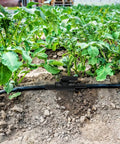 Garden setup with Four Pack Three Eighths Inch Ball Valve Barbed Shut Off Kit for drip irrigation