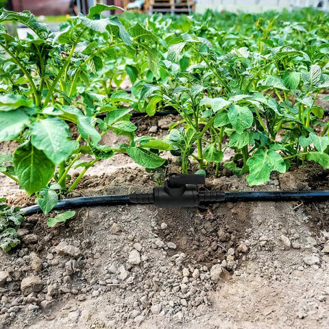 Garden setup with Four Pack Three Eighths Inch Ball Valve Barbed Shut Off Kit for drip irrigation