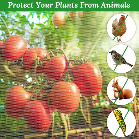Two Pack Garden Netting For Raised Beds 4.3x2ft Ultra Fine Mesh protecting tomatoes from birds, squirrels, and animals