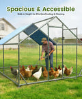 Man feeding chickens in a large walk-in chicken run with full roof cover and waterproof UV canopy, metal outdoor poultry pen for backyard farm.