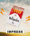 Funny Golf Tees 10 Pack MulliganBro Parody Golf Accessories Gag Gift For Men Cool Novelty Tees For Golfers Bar Style Prank That Sparks Laughs Before Every Drive in cigarette-style box.