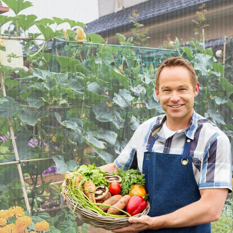 Gardener holding basket of vegetables in front of Fortify Your Garden With A 4 By 10 Foot Plant Netting Pest Barrier that fends off invaders.