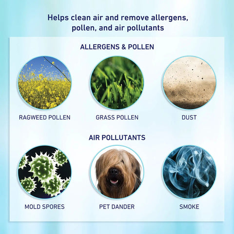 Image showing allergens: ragweed pollen, grass pollen, dust, mold spores, pet dander, and smoke.