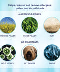 Image showing allergens like ragweed pollen, grass pollen, dust, mold spores, pet dander, and smoke filtered by AER1 True HEPA Performance Plus Filter For Home And Office, Captures 99.97 Percent Of Dust, Smoke, Pollen, Odors, Mold Spores, And Pet Dander, 0.3 Micron Filtration, Easy Replacement For HAPF300AP-U4 Systems.