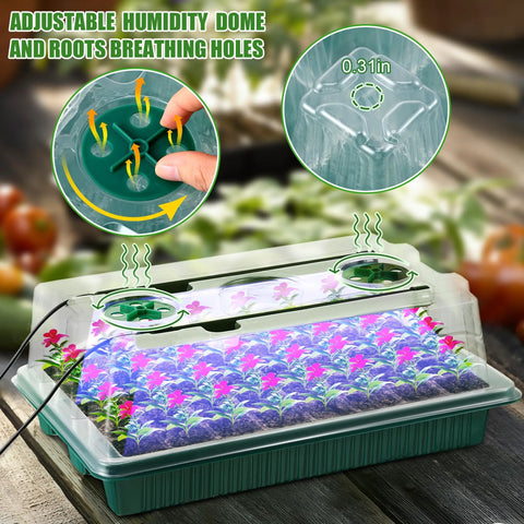 4 Pack Seed Starter Tray With Grow Light, 80 Cell Indoor Greenhouse Seed Starting Kit With Humidity Dome in use
