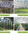 Greenhouses showcasing plant cultivation, vegetable planting, greenhouse planting, and flower cultivation areas.