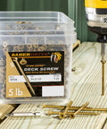 XL1500 Coated Exterior Star Drive Deck Screws For Multi Purpose Outdoor Projects 5 Pound Pack About Four Hundred Thirty Nine Pieces Size Nine By Two And A Half Inches Rust Resistant Protective Coating To Minimize Cam Out in plastic container on deck with drill