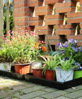 10 Pack Seed Trays For Seed Starting And Microgreens Reusable Plastic Plant Trays With No Drain Holes Ideal For Indoor Gardening