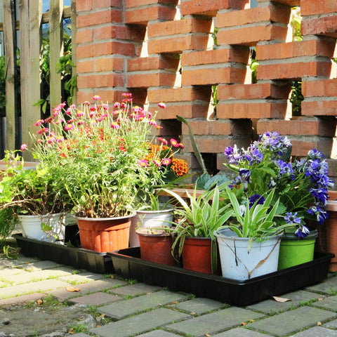 10 Pack Seed Trays For Seed Starting And Microgreens Reusable Plastic Plant Trays With No Drain Holes Ideal For Indoor Gardening